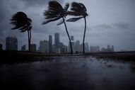 Furacão Irma Florida