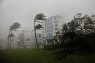 Furacão Irma Florida