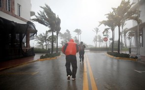 Furacões Irma e Harvey vão custar 241 mil milhões de euros