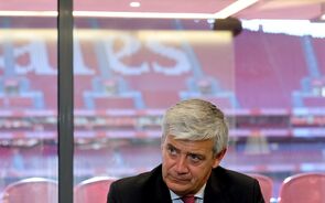Domingos soares oliveira benfica