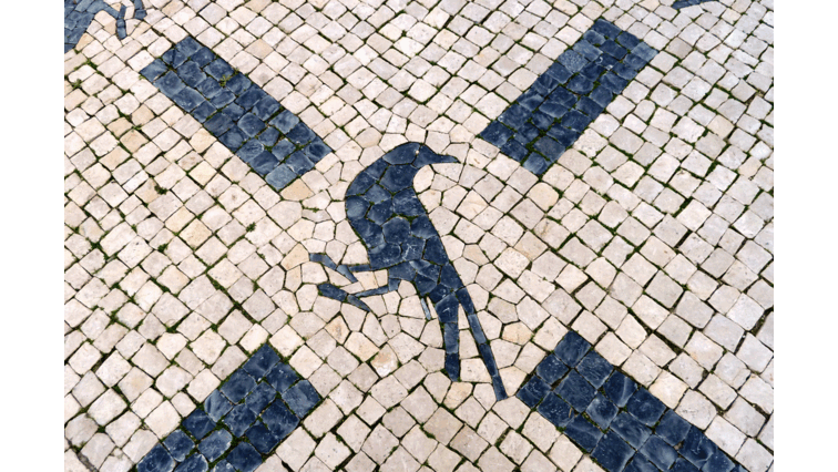 Uma recuperação da pedra