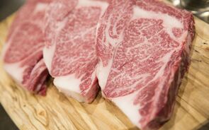 Wagyu