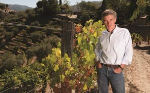 Paul Symington, Symington, vinho, Douro