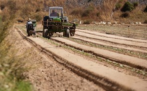 Barragem de mais de 10 milhões promete mudar o cultivo da terra em Vila Flor 