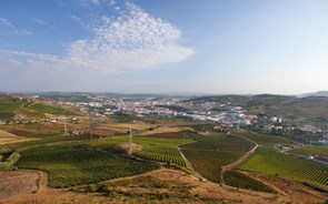 Lisboa tira “vinho de mesa” para encher copo estrangeiro