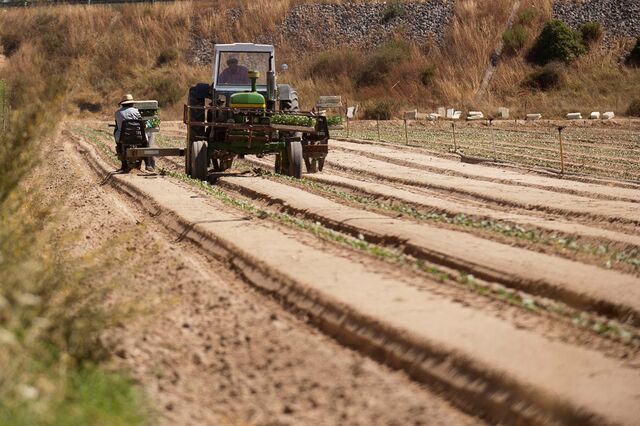 Seca: Desafio é produzir mais com menos e em condições mais desfavoráveis