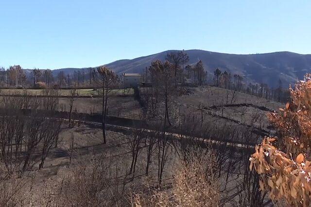 Políticos podem vir a responder criminalmente pelos fogos de Outubro