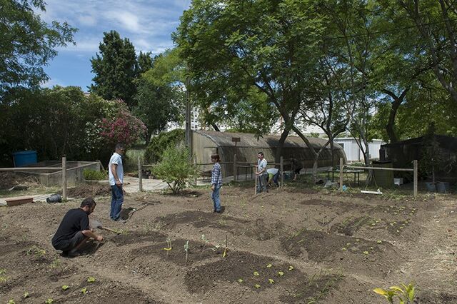 Lisboa vai distribuir quatro mil compostores a munícipes com jardim