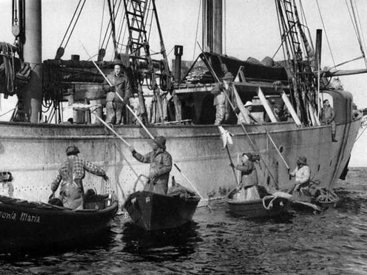 Documentário relata a vida dos portugueses na pesca do bacalhau