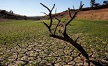 Portugal vive uma das piores situações do último século. Adaptação é urgente, avisam cientistas