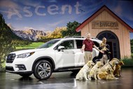 Subaru Ascent