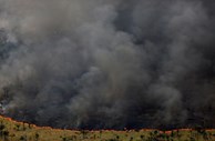 Incêndio durante a “Operação Onda Verde”, conduzida por agentes do Instituto Brasileiro do Meio Ambiente e dos Recursos Naturais Renováveis (Ibama), para combater a exploração ilegal de Madeira em Apui, na região sul do estado do Amazonas, no Brasil.