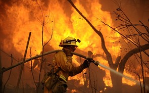 Incêndios na Califórnia obrigam à evacuação de Bel Air