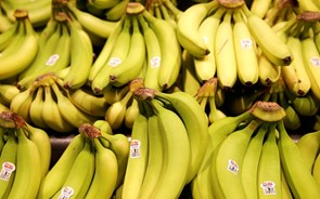 Os frescos da Greenyard querem comprar as bananas e os ananases da Dole