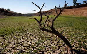 Estudo luso-espanhol ajuda a prever efeitos das alterações climáticas no solo