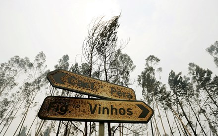 Um país queimado pelo fogo é um país de luto 