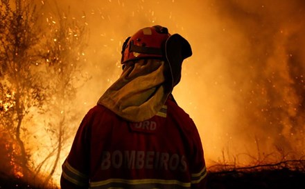 Incêndios: 'Acidente eléctrico' na origem de fogo da Lousã em Outubro 