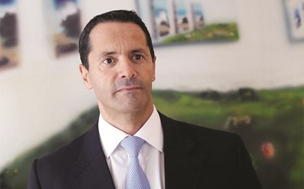 João Vieira de Almeida, Managing partner da VdA