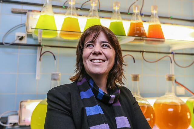  Catarina Martins recorda que Programa do Governo prevê alterações laborais