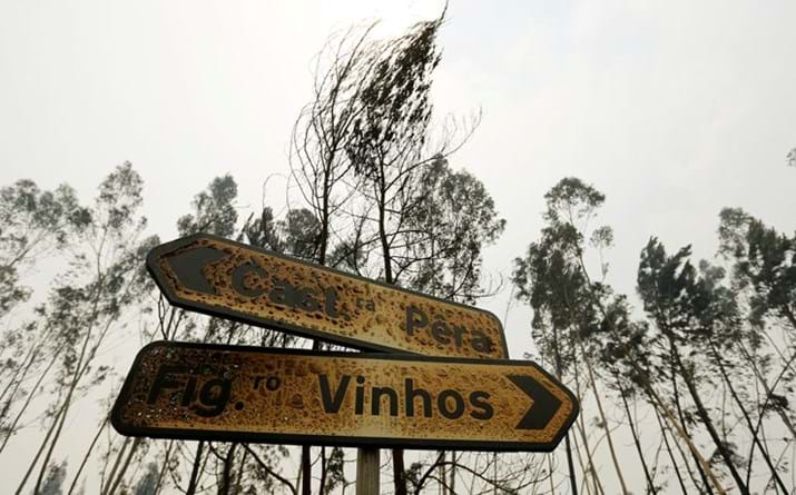 Um país queimado pelo fogo é um país de luto