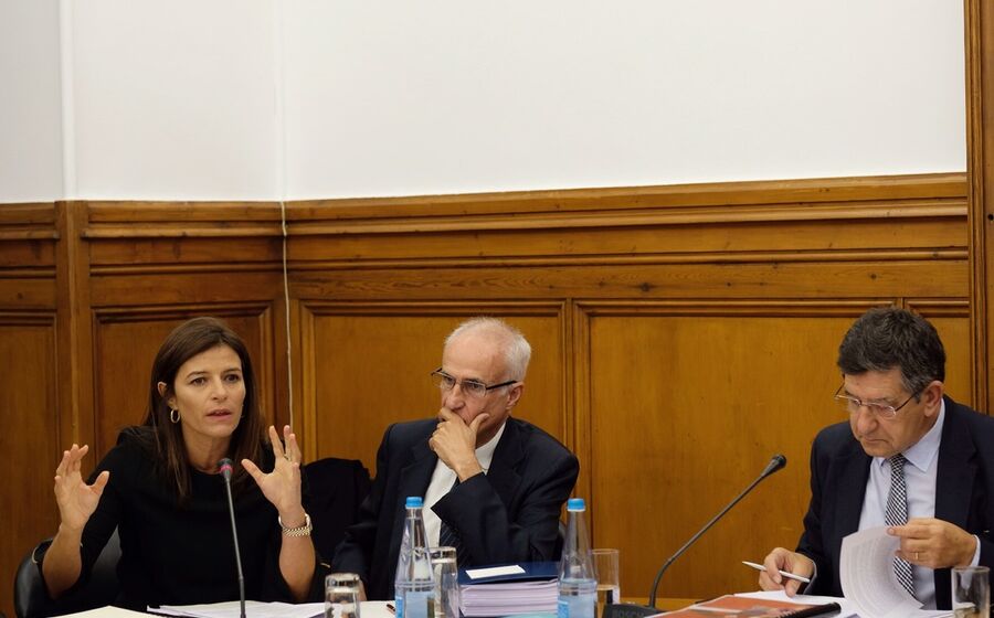 erc magno arons maria luísa roseira