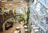 Amazon tropical