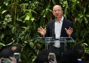 Amazon tropical