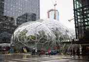 Amazon tropical