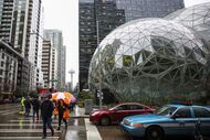 Amazon tropical