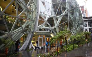 Amazon tropical