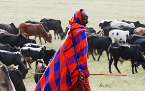 O património Maasai