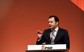Líder do PSD duvida de garantias nas interconexões e diz que Governo age 'de forma matreira' 