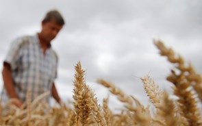 “Catástrofe” na agricultura exige plano nacional