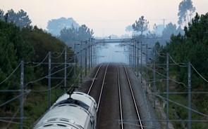 Ferrovia 2020 tem em obra 400 milhões de euros 