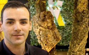 Tito Cardoso, CEO da Iki mobile