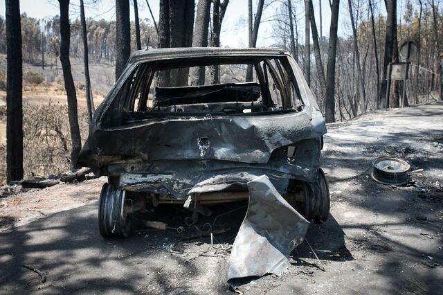 Fibroglobal garante ter toda a rede afectada pelos incêndios operacional