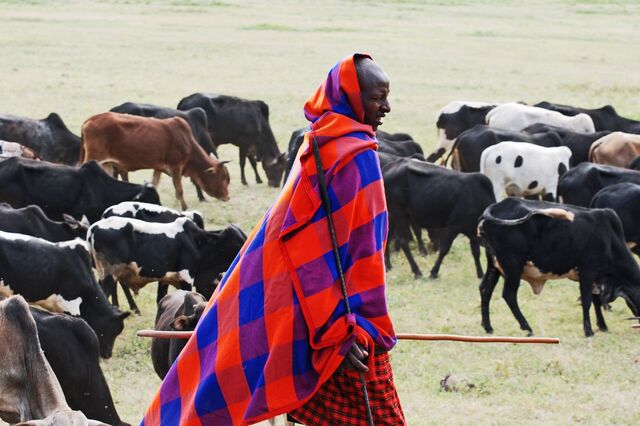 O património Maasai