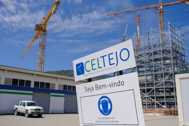 Celtejo defende divulgação dos resultados das análises à poluição no rio Tejo