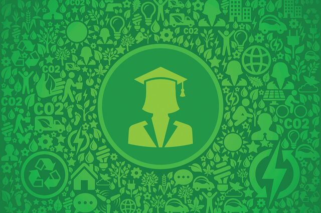 O papel das escolas
