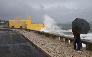 Dez distritos de Portugal continental sob aviso amarelo devido a chuva e trovoada 