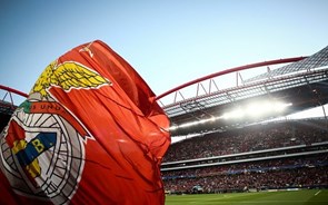 Orçamento do Benfica aprovado com 79,25% dos votos