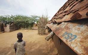 Pandemia ameaça atirar pobreza em África para níveis de 2011, alerta ONU