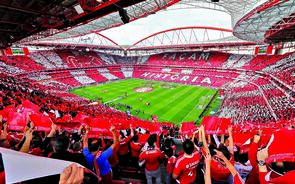 Benfica, desporto, futebol, emails, DIAP, blogue