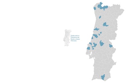 Mapa: Saiba onde os ministros vão andar a limpar florestas