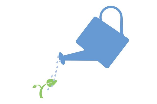 Vale a pena investir em fundos de tesouraria?