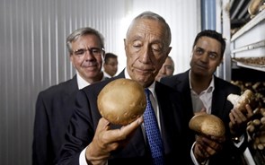 Novo Banco decide futuro do “rei” dos cogumelos em Outubro