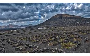 Vinhos vulcânicos raros entram em erupção pelo mundo