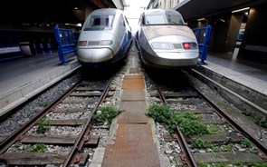 TGV Porto-Lisboa bate recorde nas expropriações com indemnizações até 425 milhões 