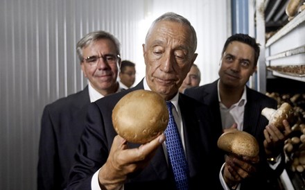 Novo Banco decide futuro do “rei” dos cogumelos em Outubro