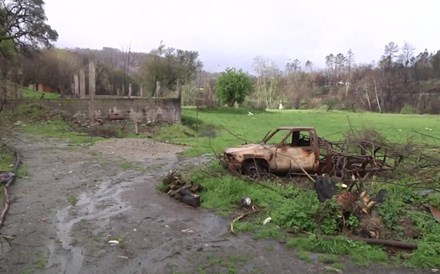 Incêndios: Há agricultores que recebem um terço ou um quarto do prejuízo registado 